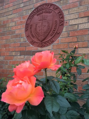 University of Texas seal with orange roses in wall on campus